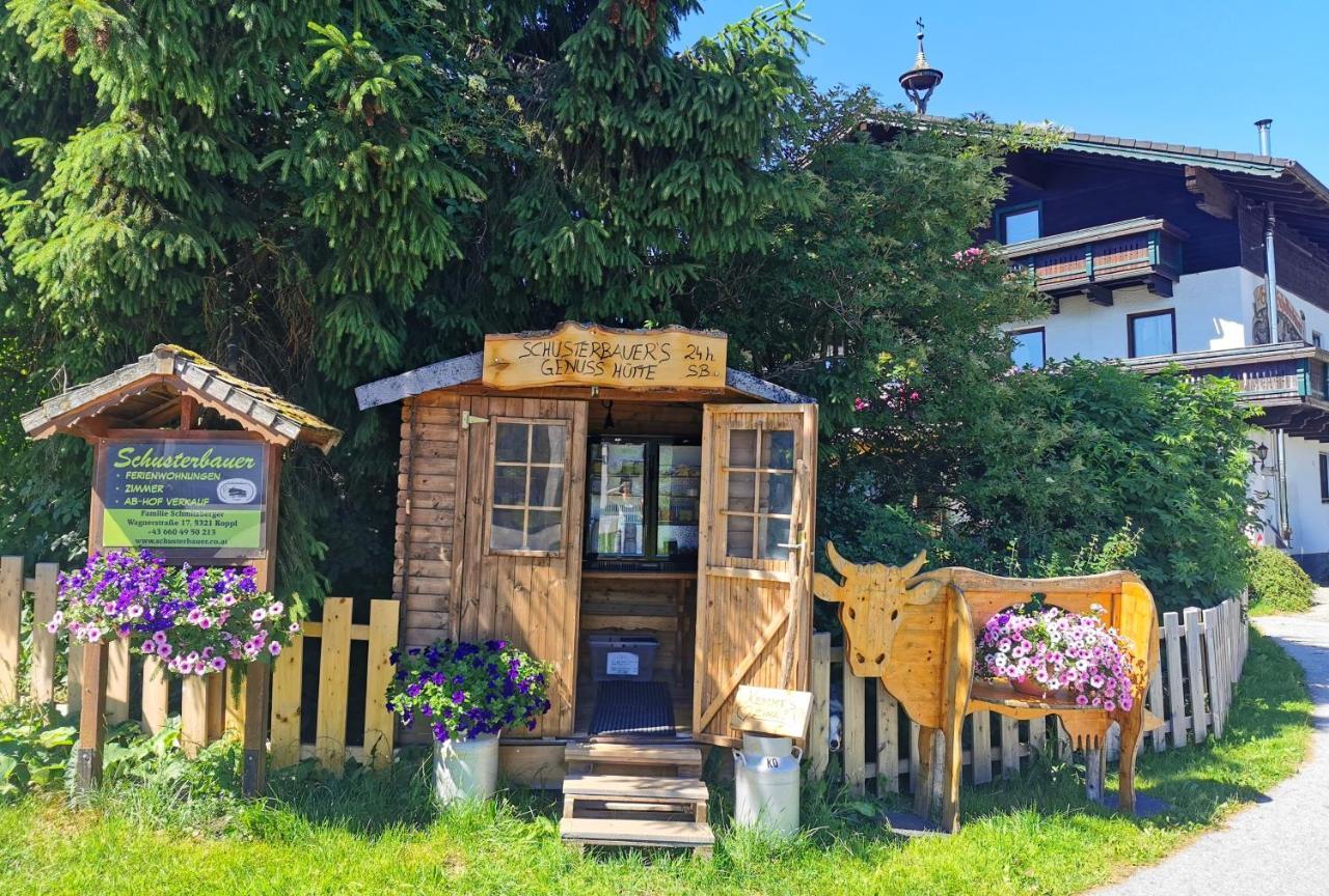 Schusterbauer Villa Koppl Dış mekan fotoğraf