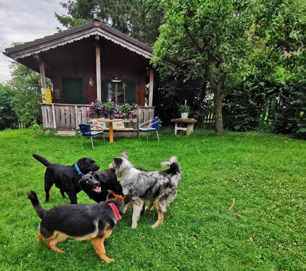 Schusterbauer Villa Koppl Dış mekan fotoğraf