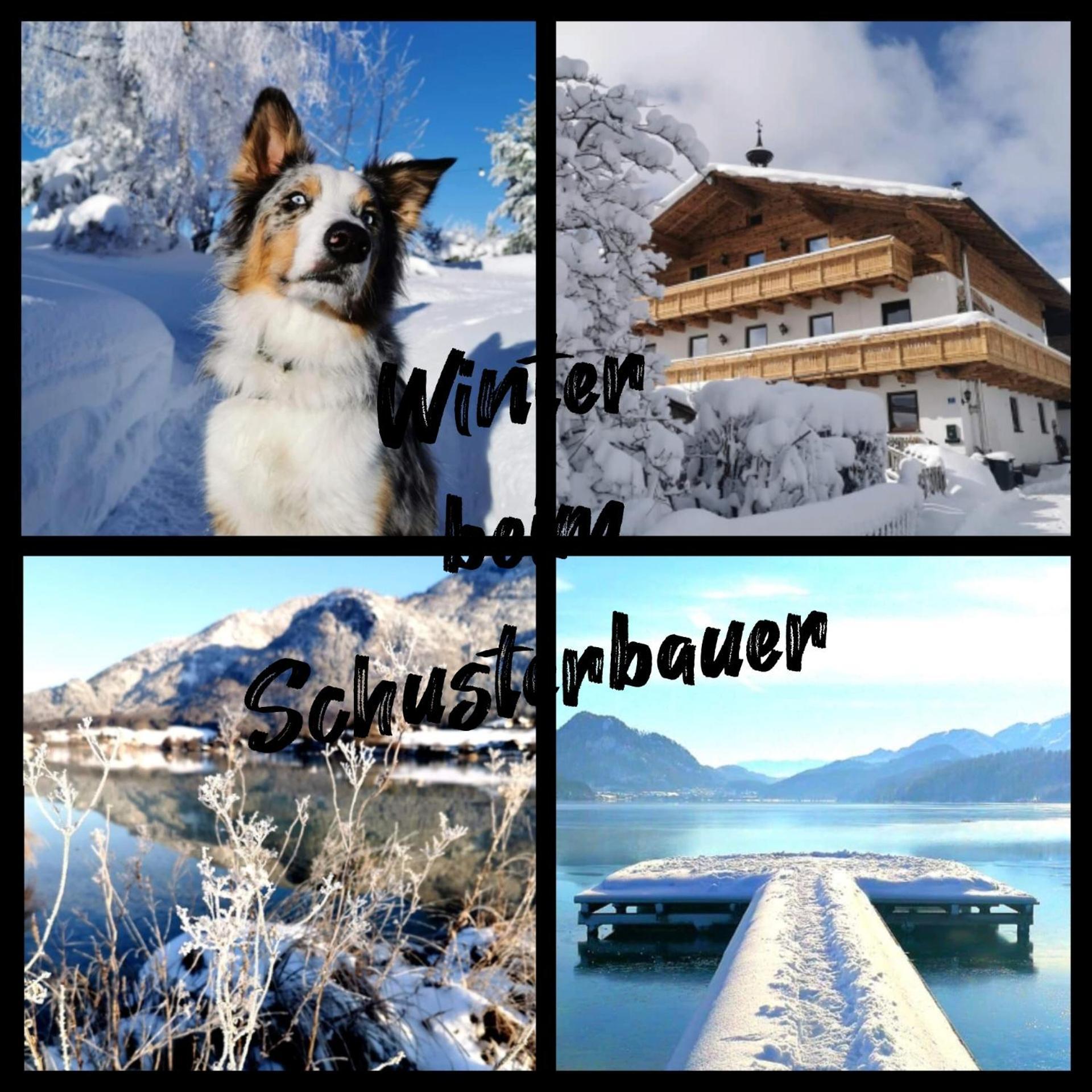 Schusterbauer Villa Koppl Dış mekan fotoğraf