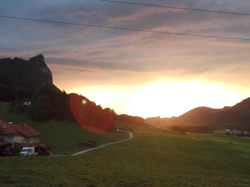 Schusterbauer Villa Koppl Dış mekan fotoğraf