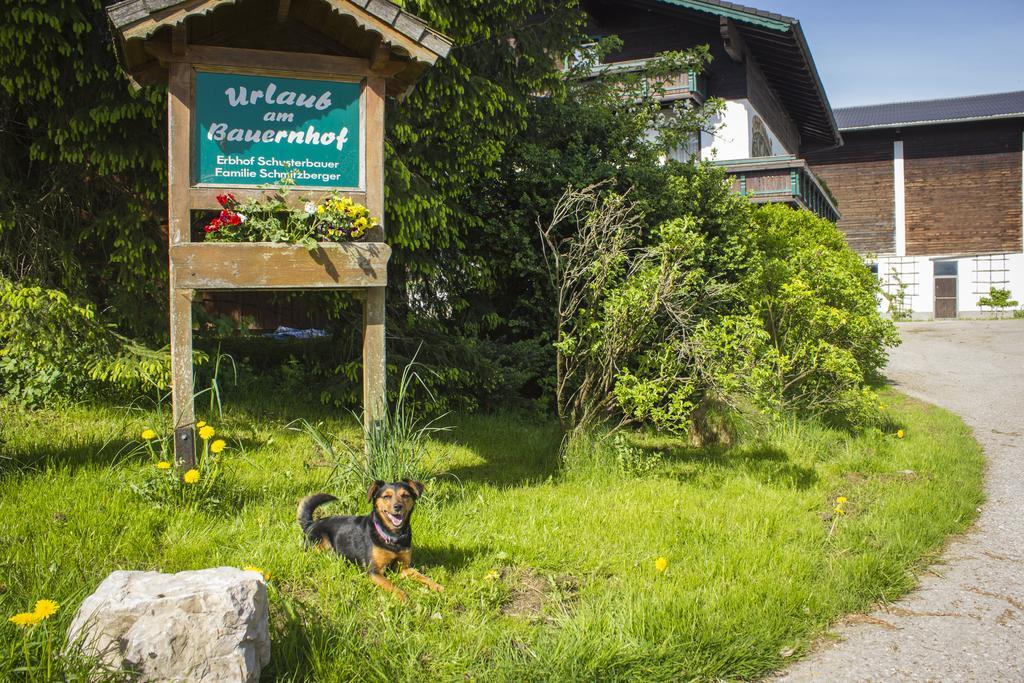 Schusterbauer Villa Koppl Dış mekan fotoğraf