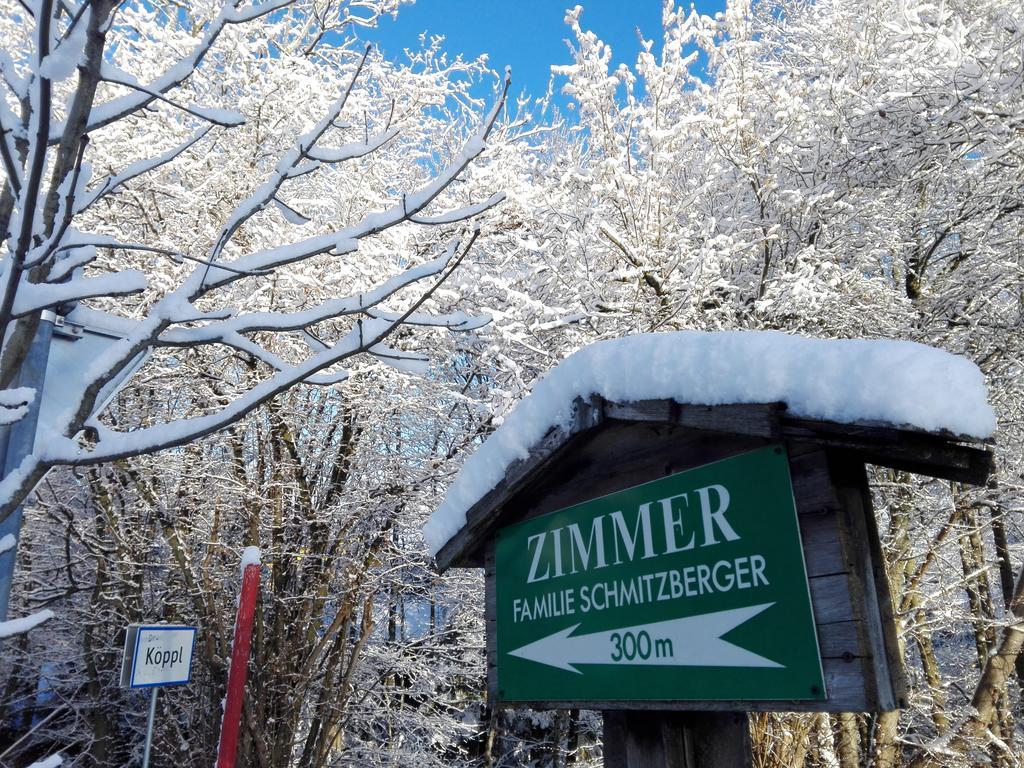 Schusterbauer Villa Koppl Dış mekan fotoğraf