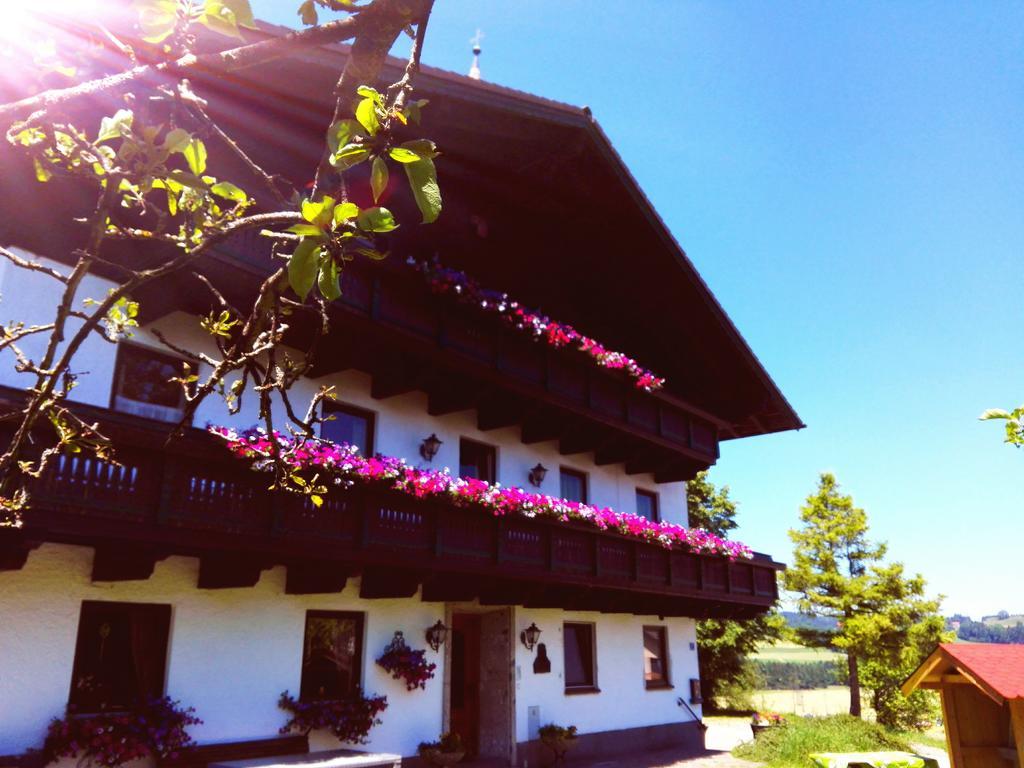 Schusterbauer Villa Koppl Dış mekan fotoğraf