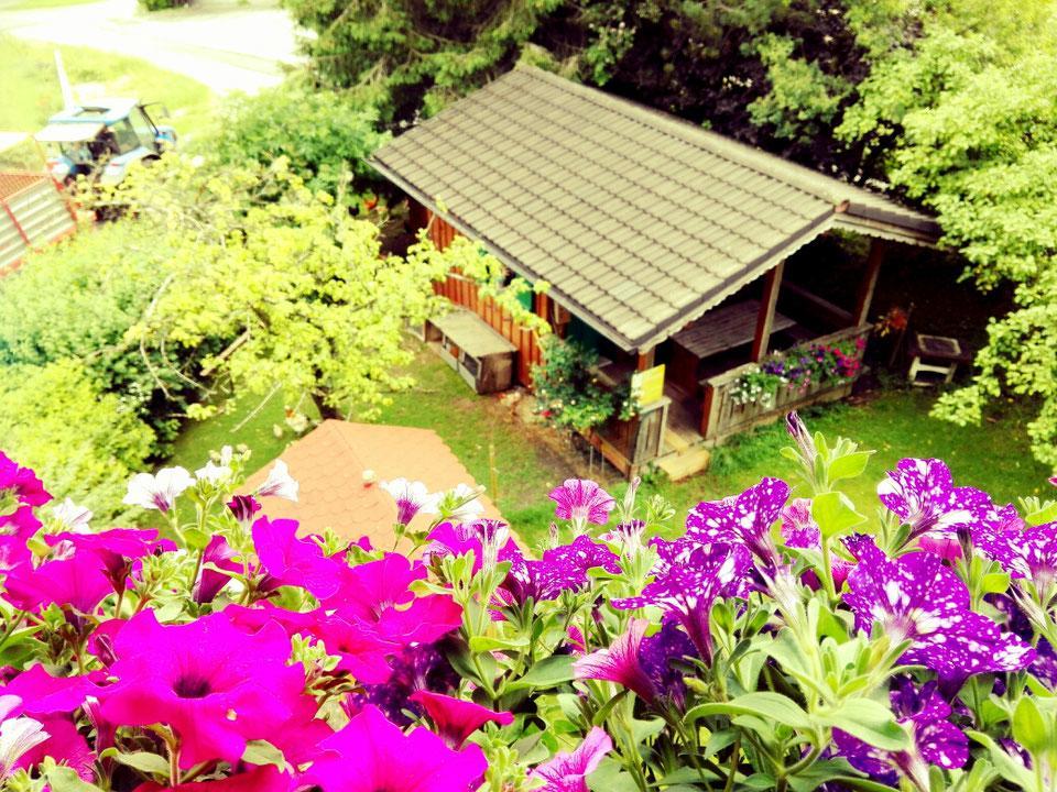 Schusterbauer Villa Koppl Dış mekan fotoğraf